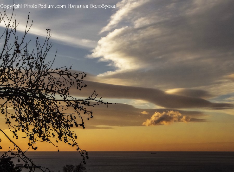 Nature, Outdoors, Sunlight, Sunset, Sky