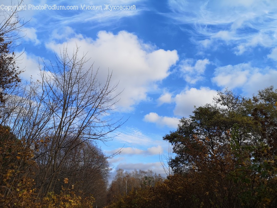 Nature, Outdoors, Weather, Sky, Cloud