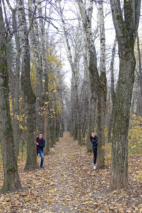 Plant, Tree, Tree Trunk, Human, Person