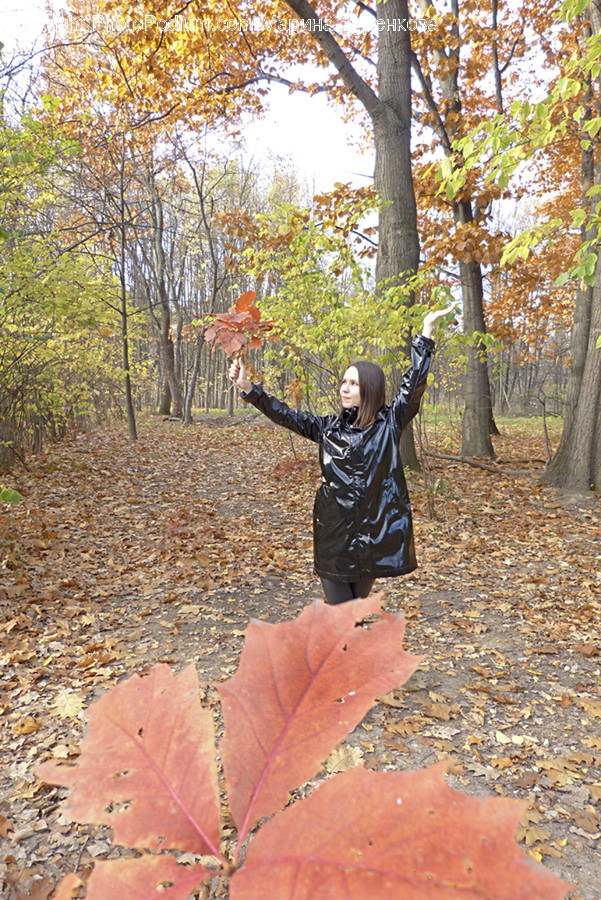 Clothing, Apparel, Plant, Leaf, Coat