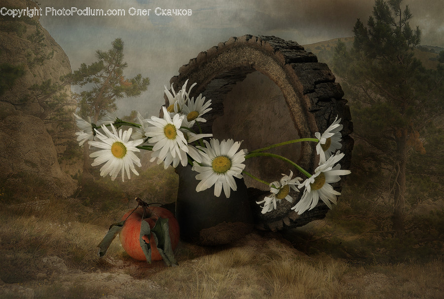 Painting, Art, Plant, Blossom, Flower