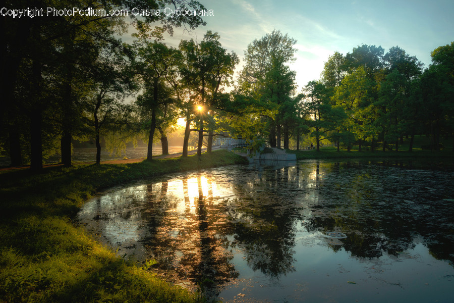 Nature, Water, Outdoors, Land, Pond