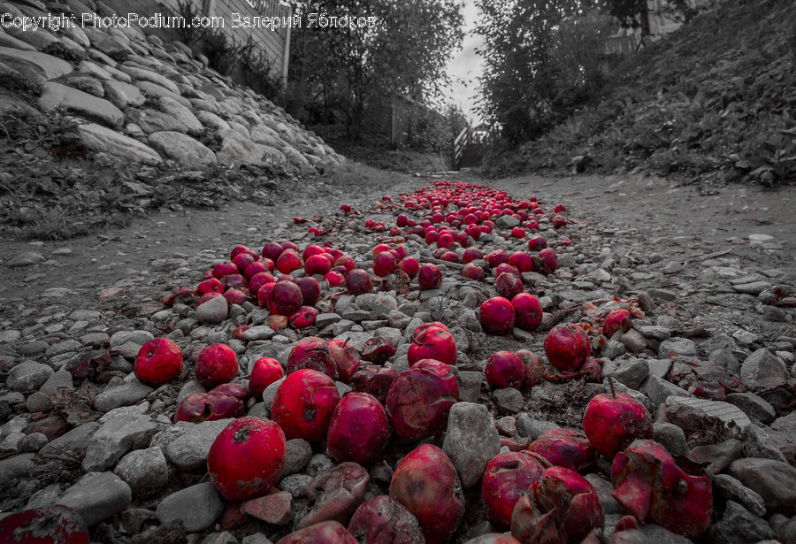 Ground, Rubble, Plant, Sphere, Road