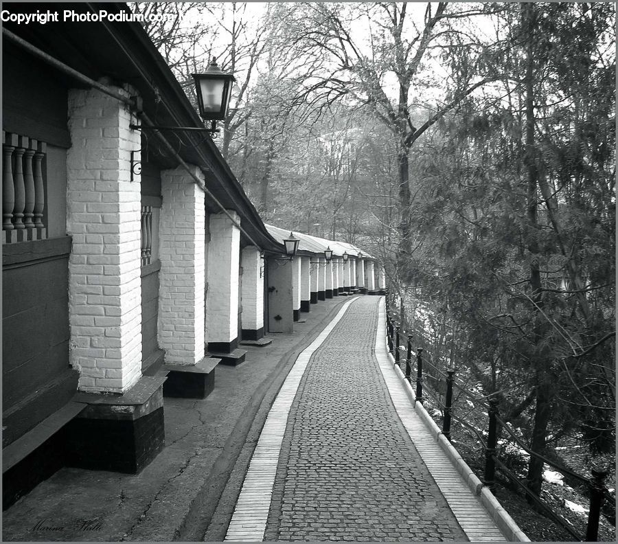 Boardwalk, Path, Pavement, Sidewalk, Walkway, Alley, Alleyway