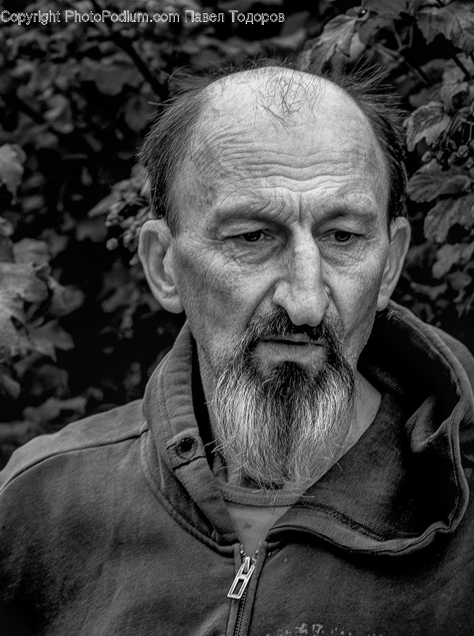 Face, Human, Person, Beard, Photography