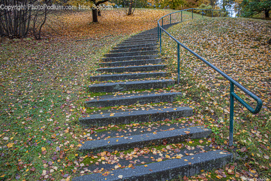 Banister, Handrail, Ground, Staircase, Railing