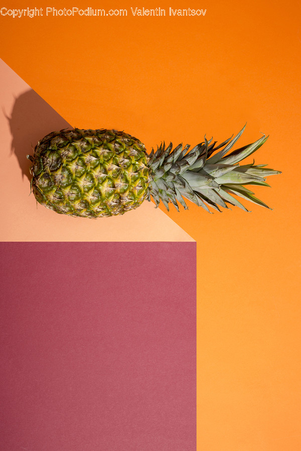 Plant, Pineapple, Fruit, Food