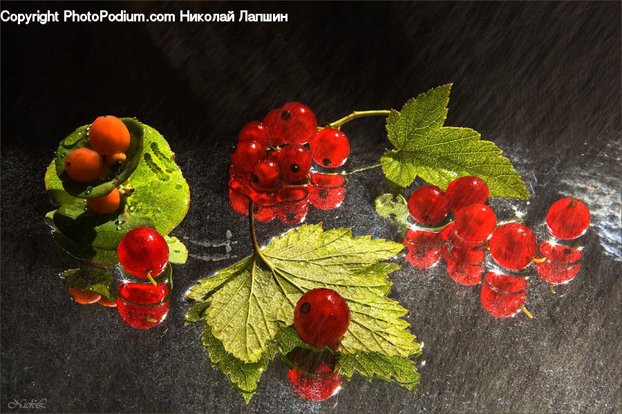 Embroidery, Apple, Fruit, Leaf, Plant, Grapes, Blossom