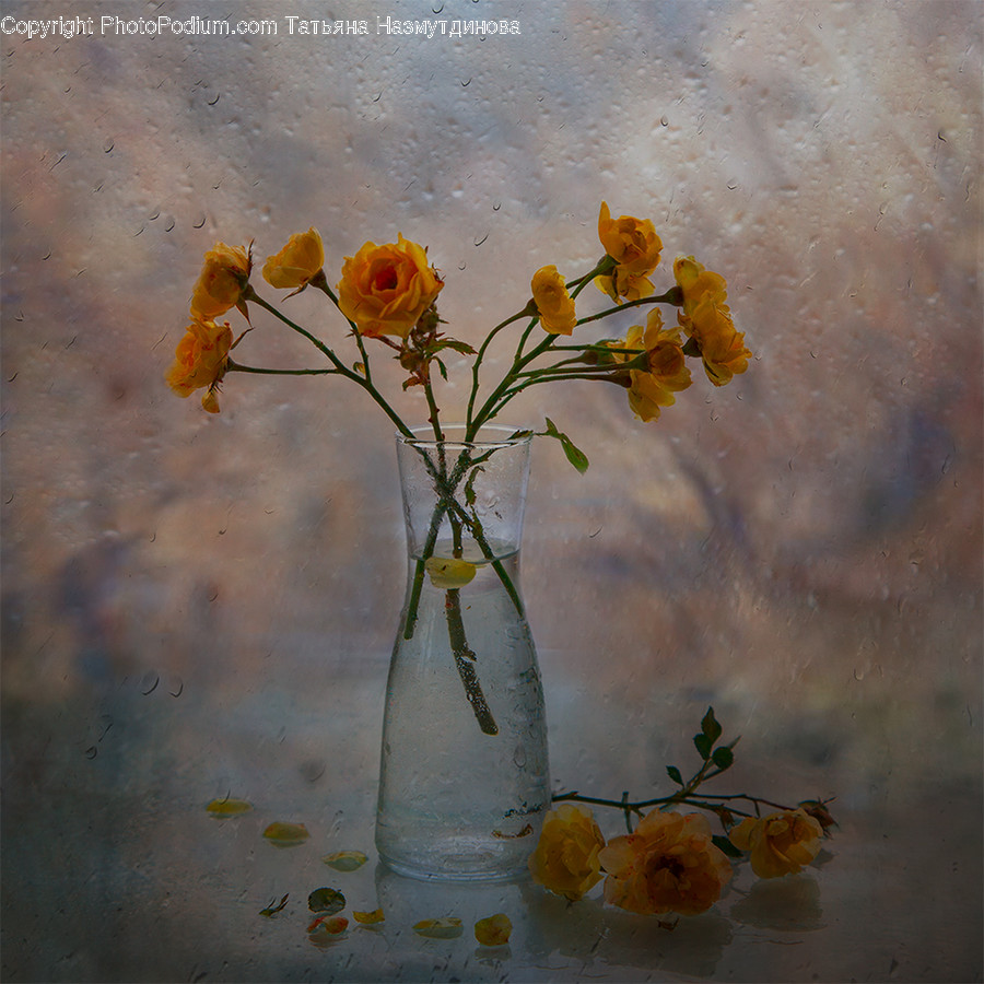 Plant, Ikebana, Jar, Blossom, Pottery