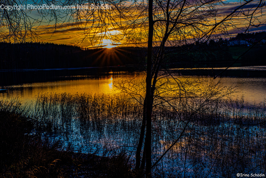 Light, Flare, Nature, Sunlight, Outdoors
