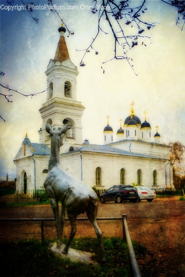Architecture, Building, Dome, Vehicle, Car