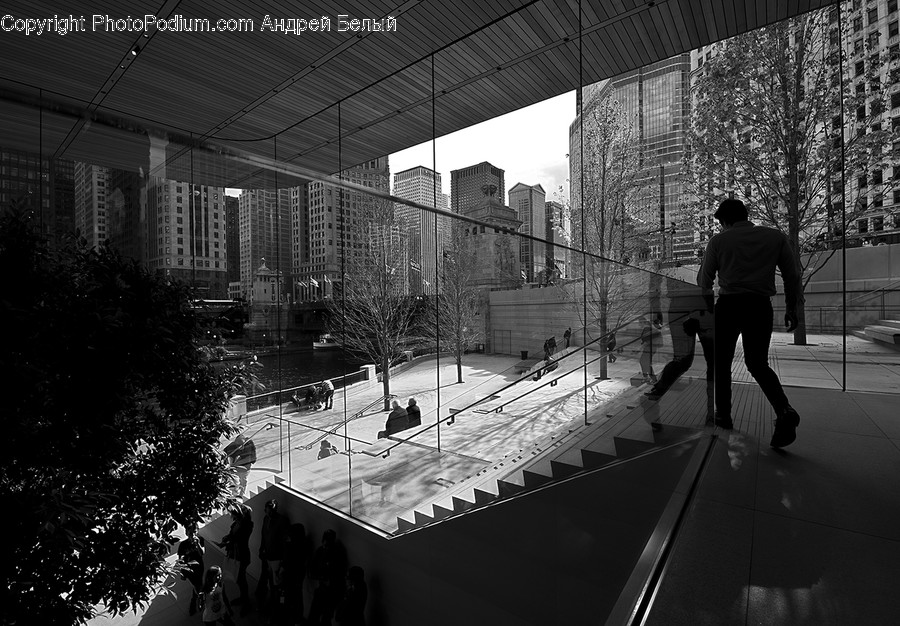 Handrail, Banister, Human, Person, Pedestrian