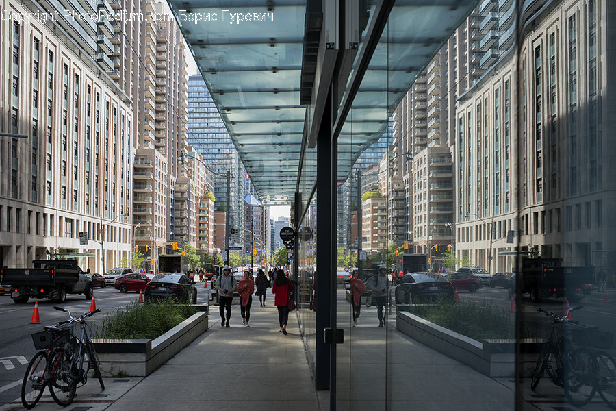 Pedestrian, Human, Person, Path, Transportation