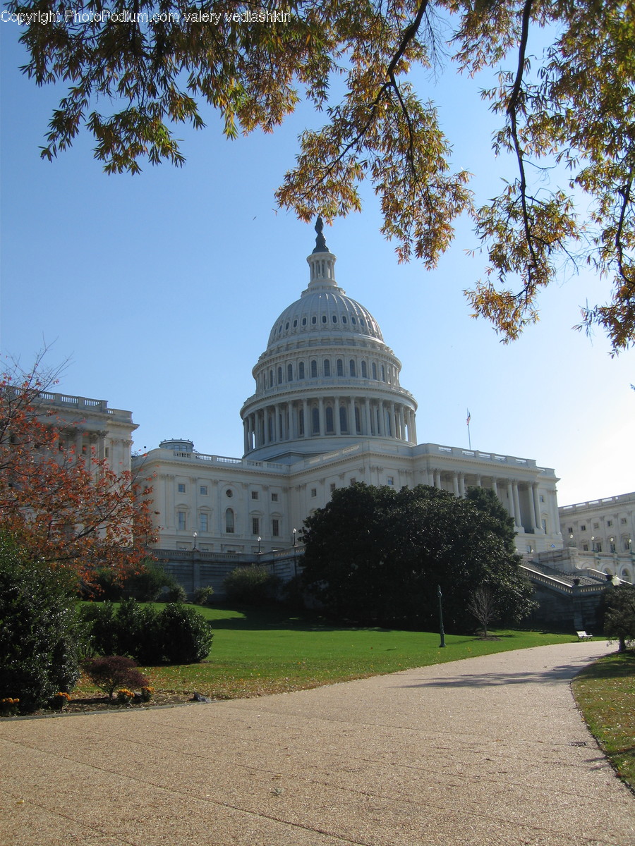 Plant, Grass, Building, Dome, Architecture