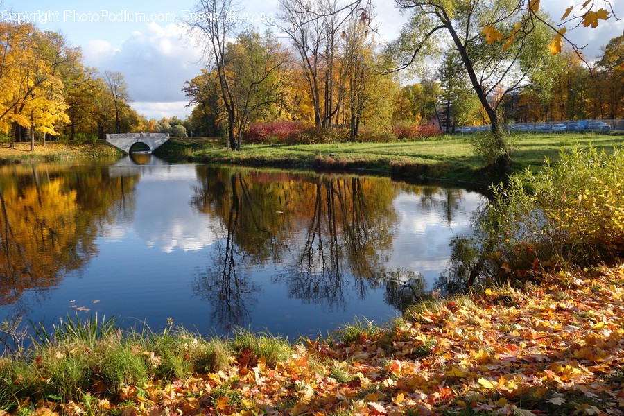 Water, Nature, Outdoors, Pond, Land