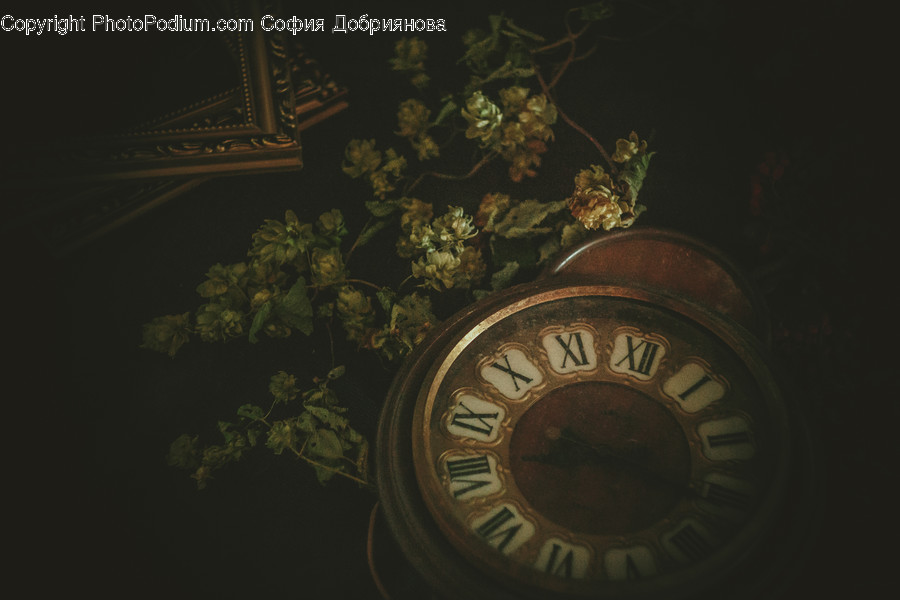Clock, Analog Clock, Wall Clock