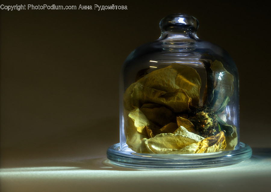 Sphere, Jar, Crystal, Pottery, Plant
