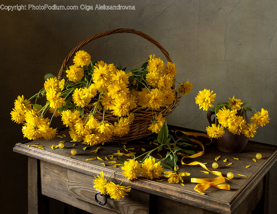 Plant, Flower, Blossom, Flower Bouquet, Flower Arrangement