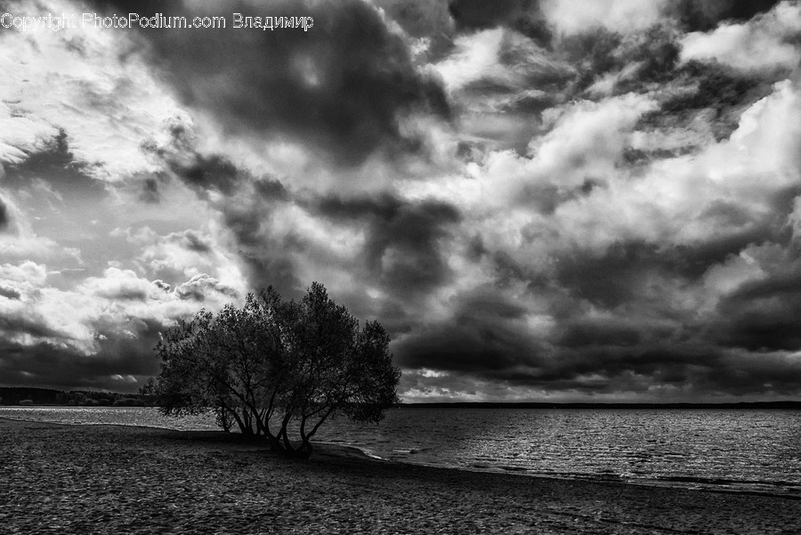 Weather, Nature, Outdoors, Sky, Cumulus