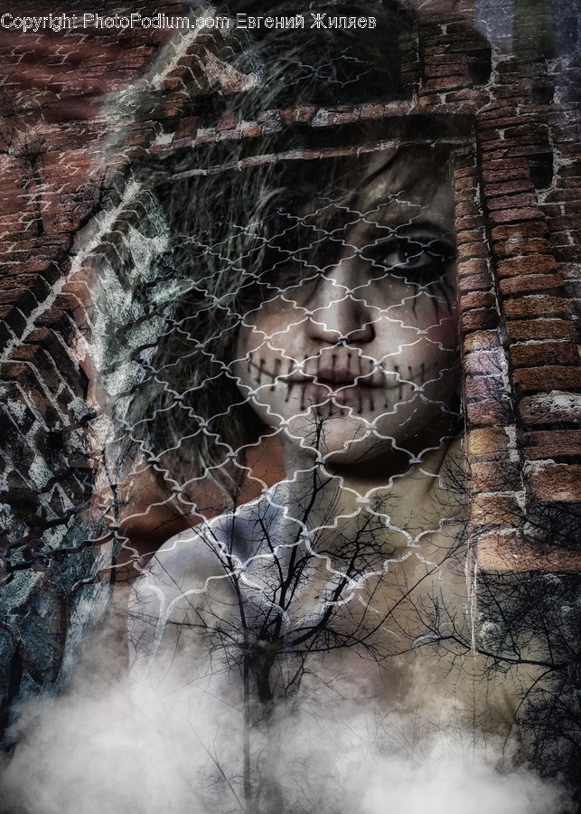 Brick, Head, Spider Web, Hole