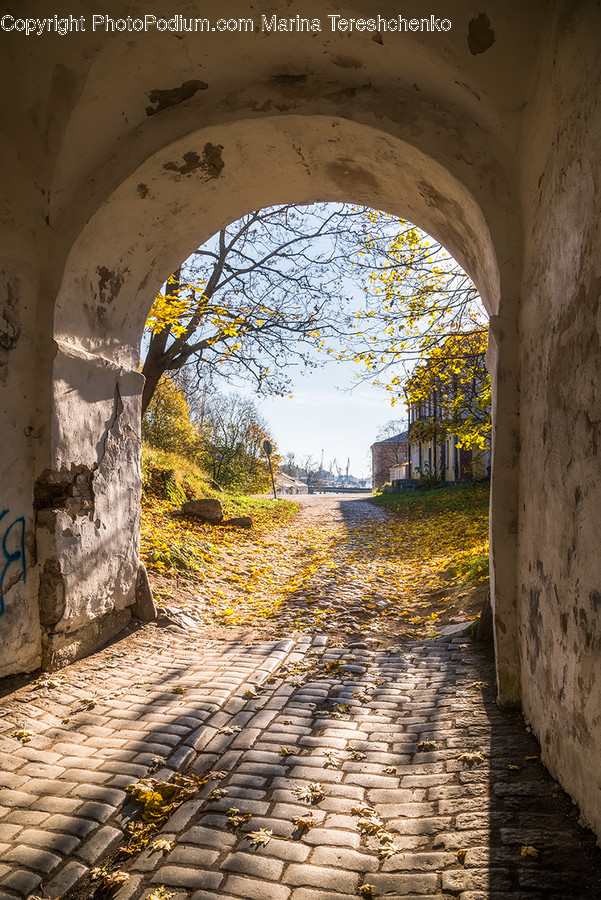 Walkway, Path, Pavement, Sidewalk, Cobblestone
