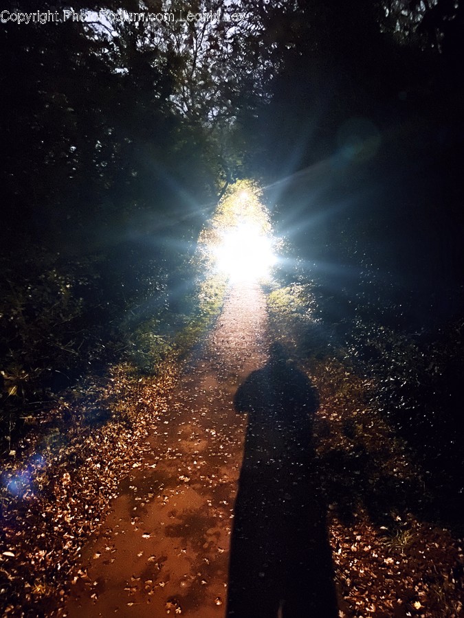 Light, Flare, Fire, Bonfire, Flame