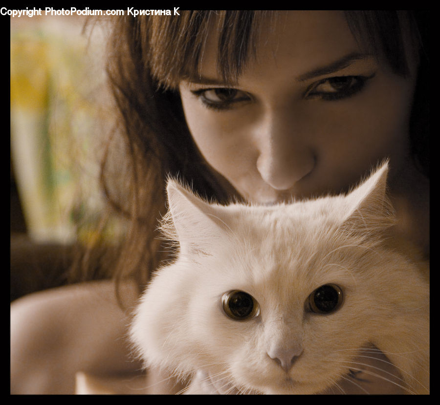 Animal, Pet, Female, Girl, Person, Woman, Cat