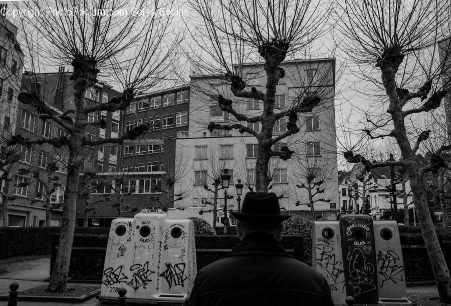Tree, Plant, Person, Human, Clothing