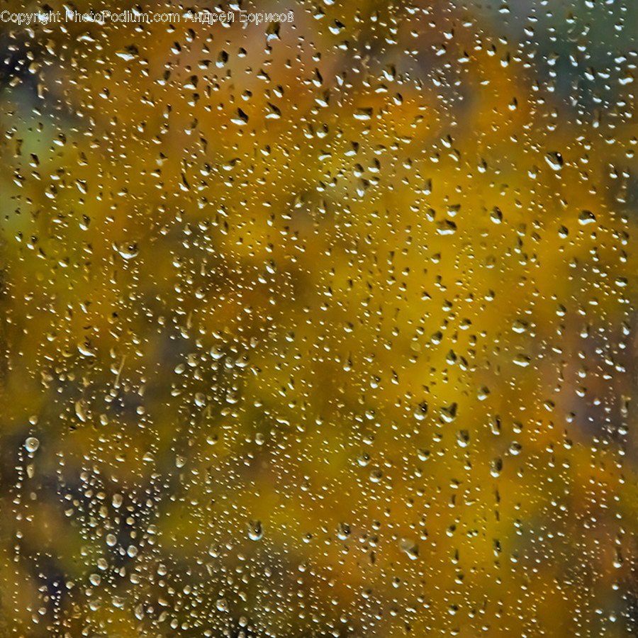 Droplet, Plant, Bubble, Grass
