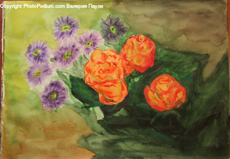 Cushion, Home Decor, Pillow, Art, Blossom, Flora, Flower
