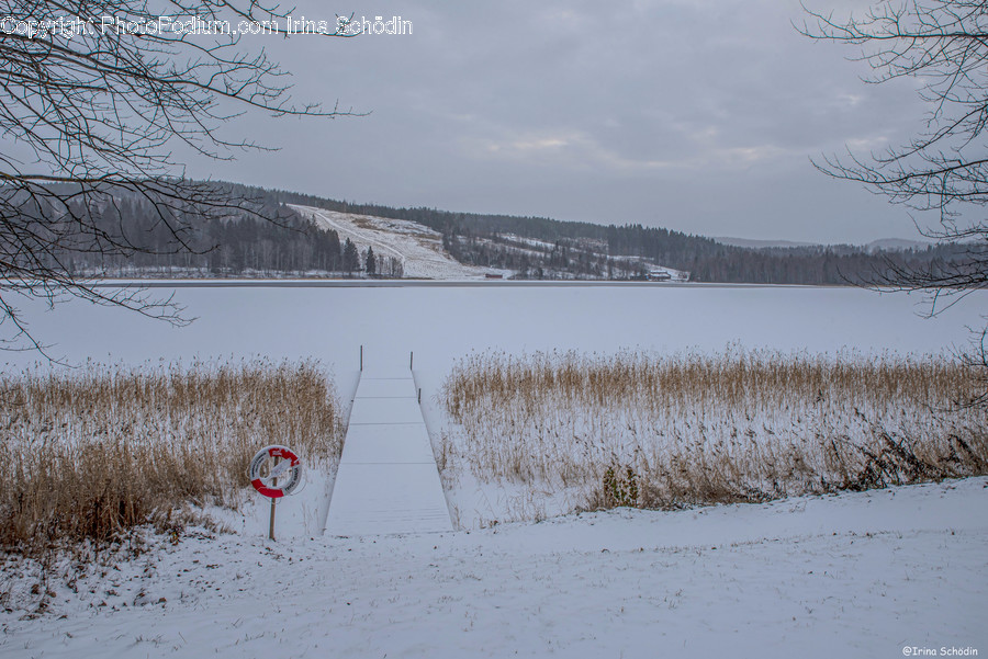 Nature, Outdoors, Ice, Grass, Plant