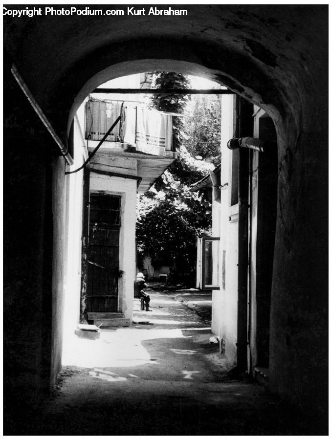 Ivy, Plant, Vine, Potted Plant, Arch, Alley, Alleyway