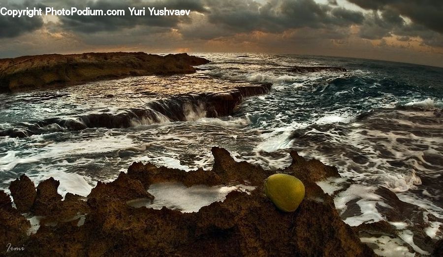 Acorn, Plant, Seed, Outdoors, Sea, Sea Waves, Water