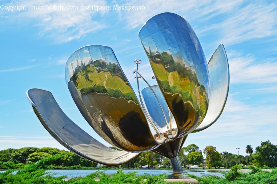 Sphere, Grass, Plant, Transportation, Vehicle