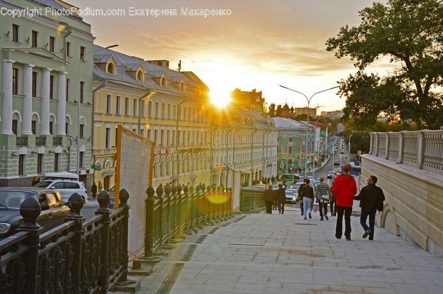 Path, Person, Human, Walkway, Pavement
