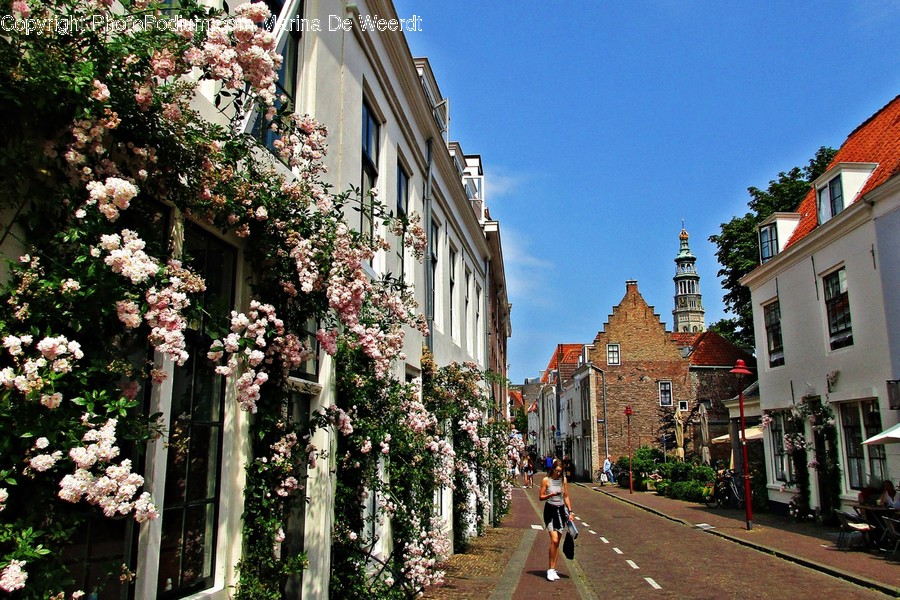 Human, Person, Walkway, Path, Outdoors
