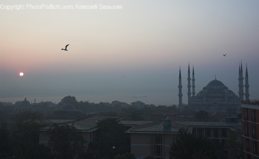 Tower, Spire, Steeple, Architecture, Building