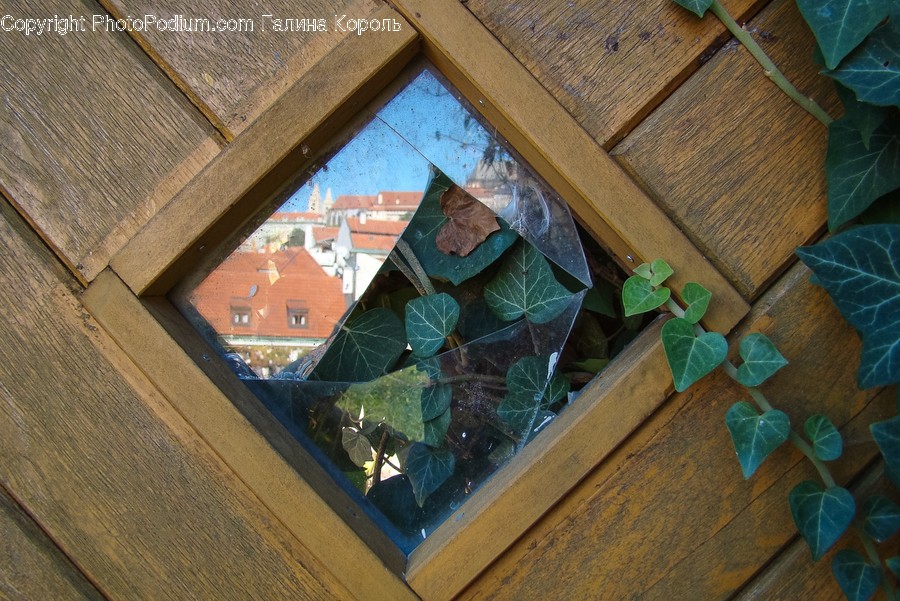 Window, Building, Architecture, Wood, Skylight
