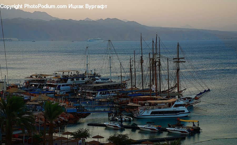 Plant, Potted Plant, Boat, Watercraft, Harbor, Port, Waterfront