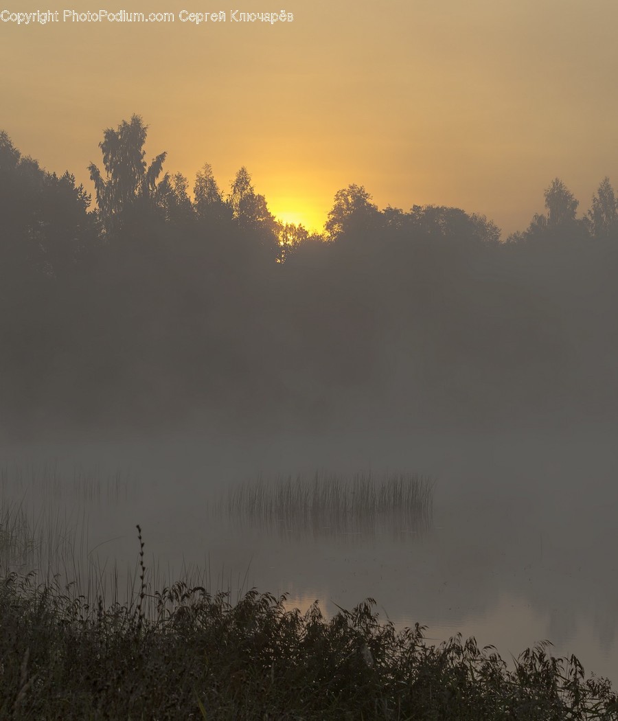 Nature, Outdoors, Weather, Fog, Mist
