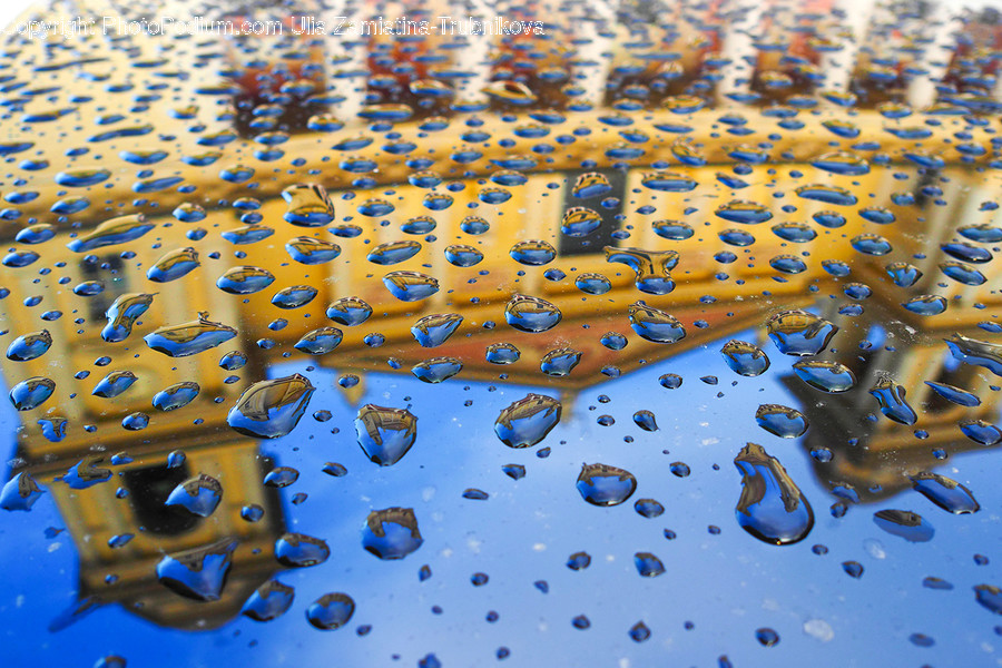 Droplet, Bubble, Rug