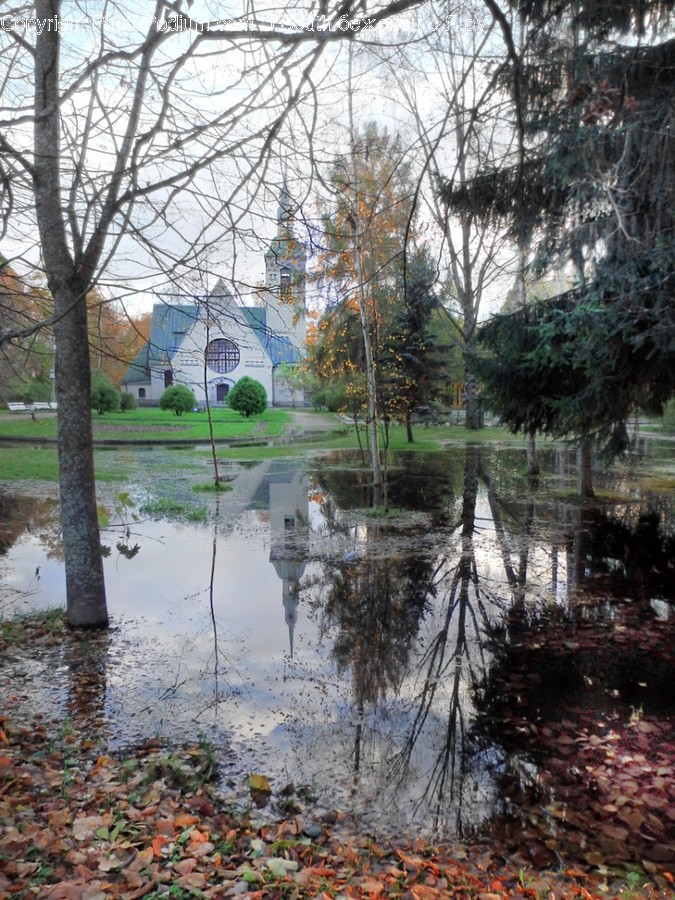Land, Nature, Outdoors, Water, Pond