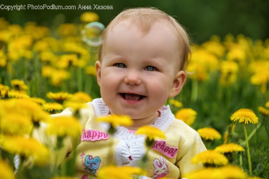 Plant, Human, Face, Person, Flower