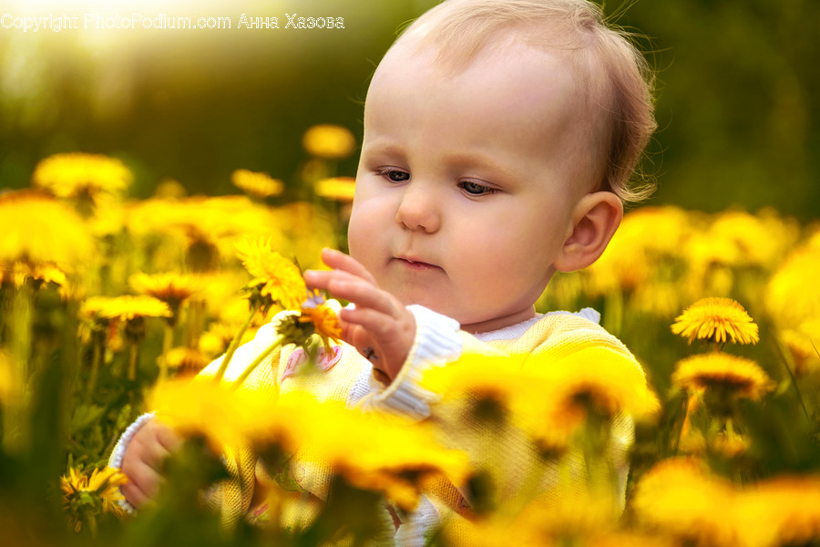 Plant, Human, Person, Finger, Blossom