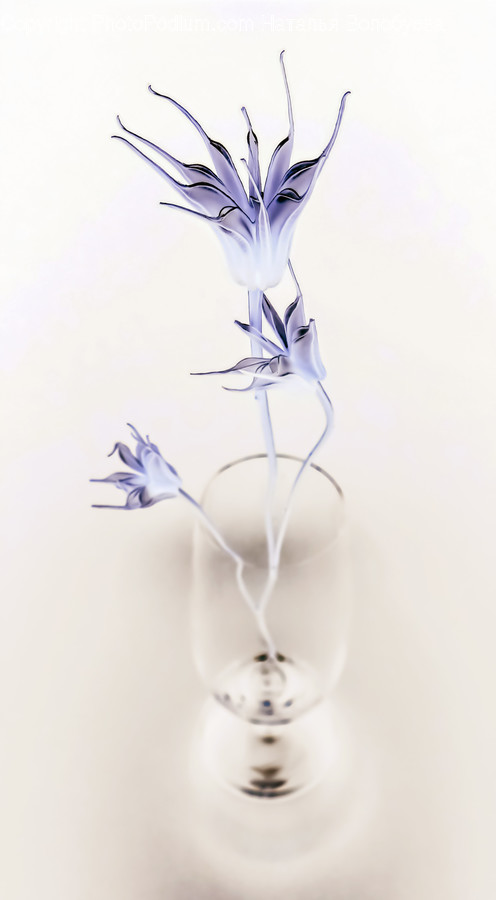 Art, Pottery, Porcelain, Glass, Plant