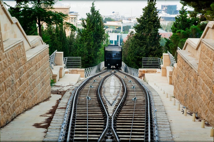 Railway, Rail, Train Track, Transportation, Tree