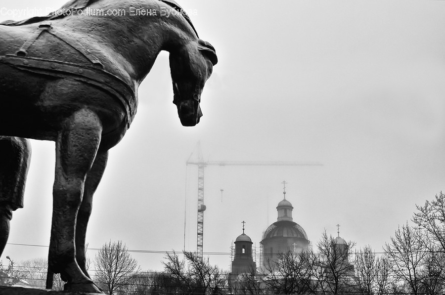 Mammal, Horse, Animal, Building, Architecture