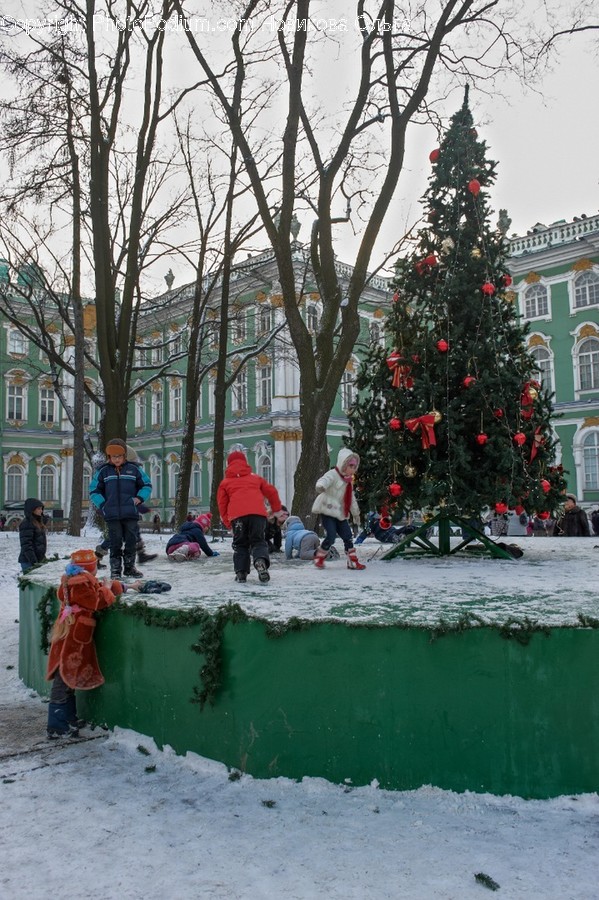 Human, Person, Tree, Plant, Christmas Tree
