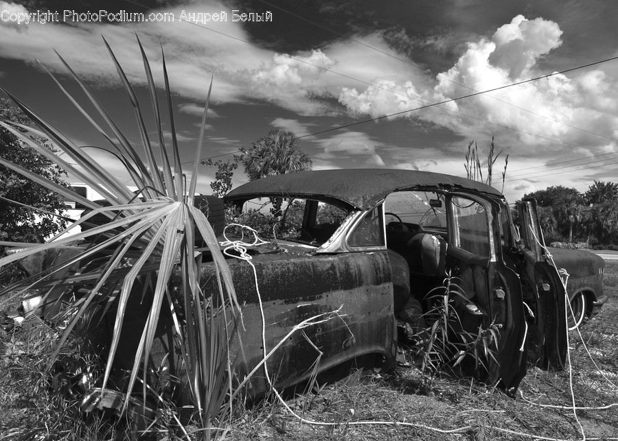 Nature, Outdoors, Rust, Transportation, Vehicle