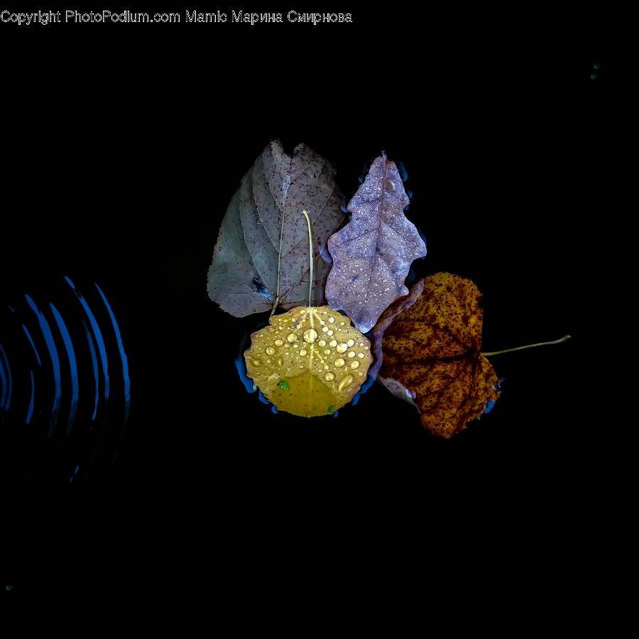 Sphere, Crystal, Astronomy, Outer Space, Space